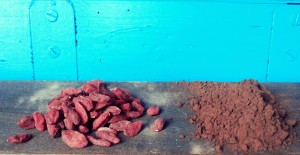 Biogische cacao & goji bessen